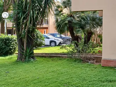 a car parked in front of a building with palm trees at Maison Du Parc in Palermo
