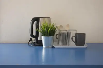 a coffee maker and cups and a plant on a counter at Eli's Home in Terrasini