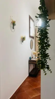 a hallway with a plant on the wall and a table at Kasa Magnisi in Palermo