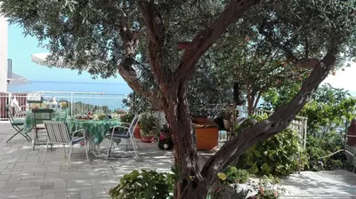 a patio with a table and chairs and a tree at B&B Talìa in Scopello
