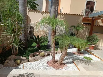 a garden with palm trees in a yard at Le Falesie di Castelluzzo in Castelluzzo