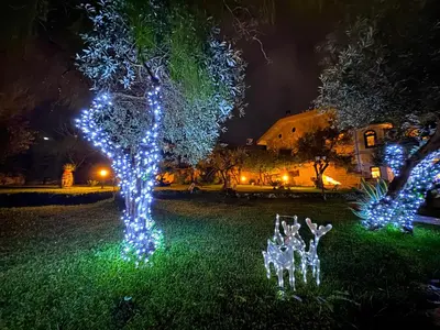 a tree decorated with lights in a yard at night at Villa Bellavista in Carini