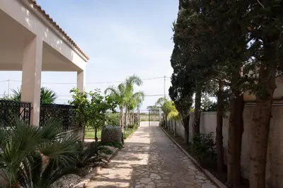 a walkway with palm trees on the side of a house at Casa Lucido di fronte la Tonnara in San Vito lo Capo