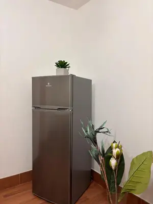 a stainless steel refrigerator with a plant on top of it at Houel's House in Palermo