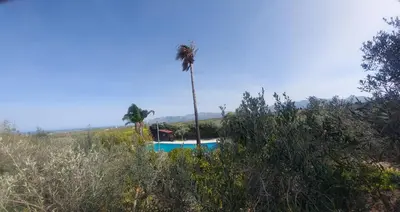 a palm tree and a swimming pool in a field at The Green Planet in Balestrate