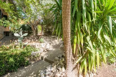 a group of palm trees in a garden at Villa Emma 50 mt from the sea with private pool in Carini