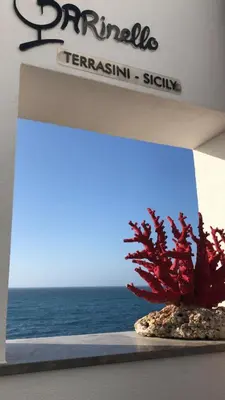 a view of the ocean with a plant in a box at Casa Vacanze Marco Polo vista mare in Trappeto