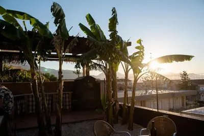 a view of the ocean from a balcony with palm trees at Liberia vacanze - A POCHI PASSI dal mare in Alcamo