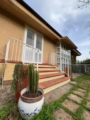 a cactus in a pot in front of a house at Mondello Key loft in Palermo