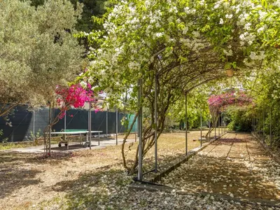 a park with trees with pink flowers and a bench at Apartment Cicladi Leros by Interhome in Santa Flavia