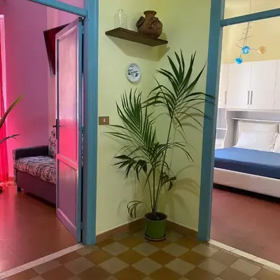 irenes holiday house