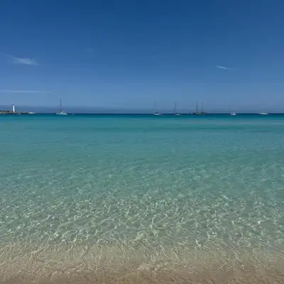 Carol's Sicily Dream