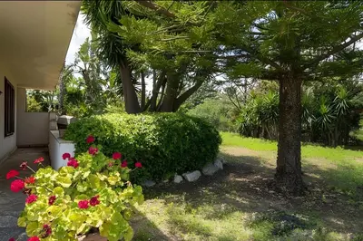 a garden with pink flowers and a tree at Villa Viola e Giulio in Scopello