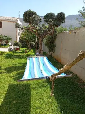 a tree sitting on top of an object in a yard at Endless summer in Castelluzzo