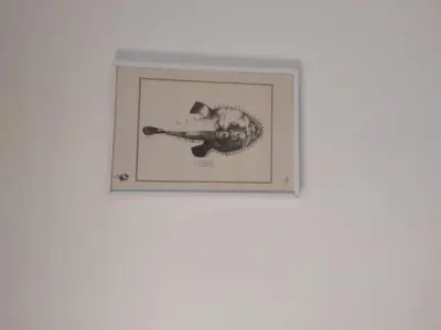 a framed picture of a gun on a wall at La Pergola sul mare in Mandra Capreria