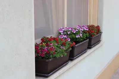 three pots of flowers sitting on a window sill at Casa Chiarenza in Castellammare del Golfo