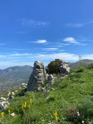 a rock formation on a hill with grass and flowers at Holiday Green in Carini