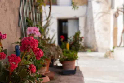 a group of potted plants on the side of a building at Rooms Parrinelli in Partinico
