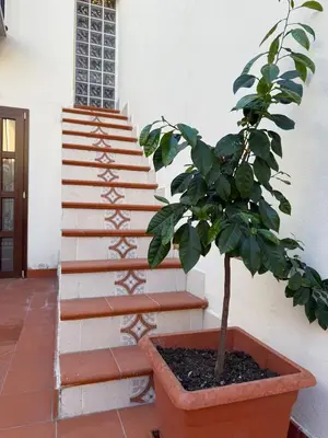 a plant in a pot next to a staircase at Cortile Cipriani in Palermo