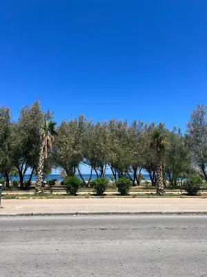 a row of palm trees on the side of a road at Home Luxury Felice Marine in Palermo