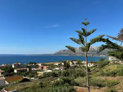 a pine tree on a hill next to the ocean at Villa Belvedere in Partinico