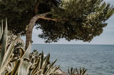 a tree next to a body of water at La Perla d'Argento in Santa Flavia