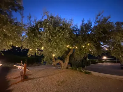 a tree with lights on it with a bench at Villa Clori in Trabia