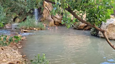 a group of people swimming in a river at Casa De Gasperi in Castellammare del Golfo
