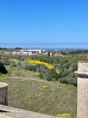 a view of a field with yellow flowers at Loft Al Baglio del Gelso in Balestrate