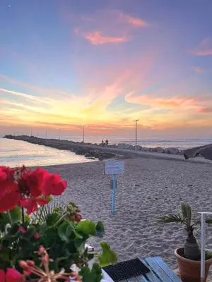 a view of the beach at sunset with flowers at Helios Apartaments in Cinisi