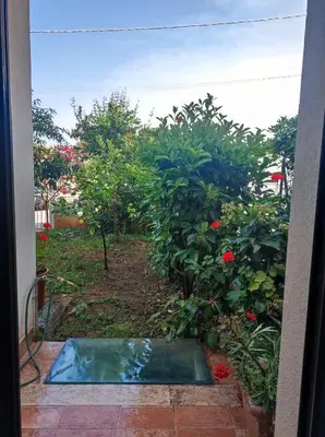 a view of a garden from the door of a house at Cale e Calle in Terrasini
