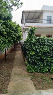 a ivy covered wall next to a building at Appartamento Casa Florio Mondello in Palermo