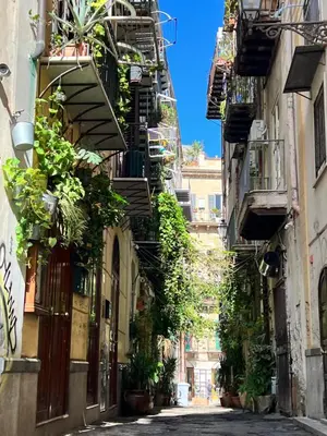an alley with plants on the side of a building at Casa Teré in Palermo