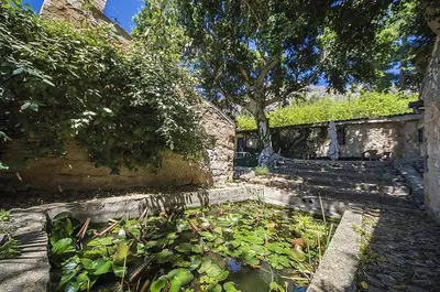 a garden with a pond and a tree and some bushes at Casa Portico, con piscina in comune in Terrasini