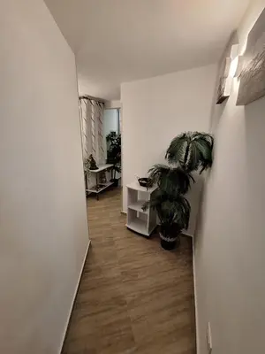 a hallway with a potted plant in a room at Tra I Normanni E Cattedrale Apartament Palermo in Palermo