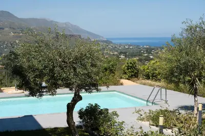 a swimming pool with an olive tree next to it at Villa Amelia in Castellammare del Golfo