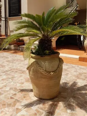 a large plant in a large pot on a tile floor at il limone appartamenti 2 in San Vito lo Capo