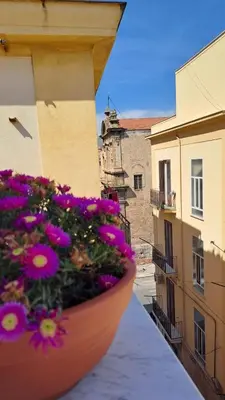 a pot of flowers sitting on a balcony at Esse & Emme in Palermo
