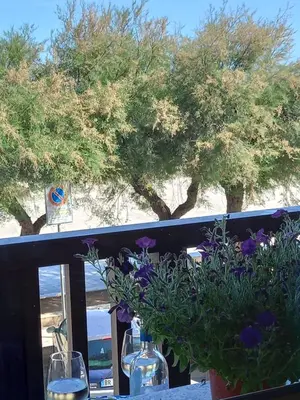 a table with purple flowers and glasses and trees at GiRosa House in Bagheria