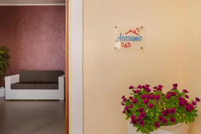 a living room with a couch and a pot of flowers at Bed&Breakfast Acasamia in Castelluzzo