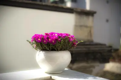a white vase with purple flowers sitting on a table at Adenzia Suite in Palermo