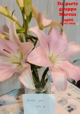 a vase filled with pink flowers on a table at Franci Zisa House in Palermo
