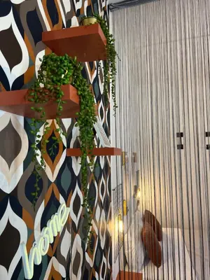 a plant on a shelf in a room at Casamori 3- nel cuore del mercato Ballarò in Palermo