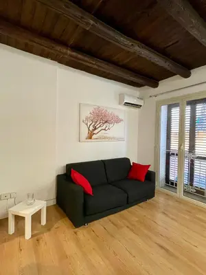a living room with a black couch and red pillows at Vicolo Morici in Palermo
