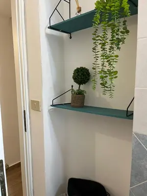 a shelf with a potted plant on a wall at Malfitano View in Palermo