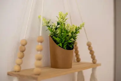 a potted plant sitting on a wooden shelf at Re Tancredi Apartment in Palermo