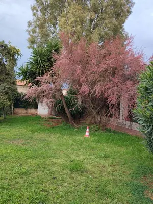 a patio with potted plants and a wooden door at House in Garden in Palermo