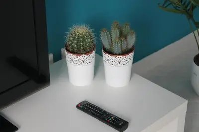 two potted plants sitting on a table next to a remote control at Mondello Suites FLH - Anemone in Palermo