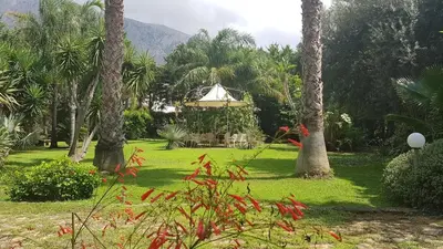a garden with palm trees and a mountain in the background at Villa Kinisia, antica dimora siciliana in Cinisi