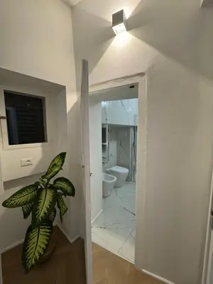 a bathroom with a toilet and a potted plant at Ai Limoni in Palermo